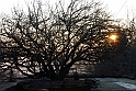 S. Damiano d'Asti - Alba_021